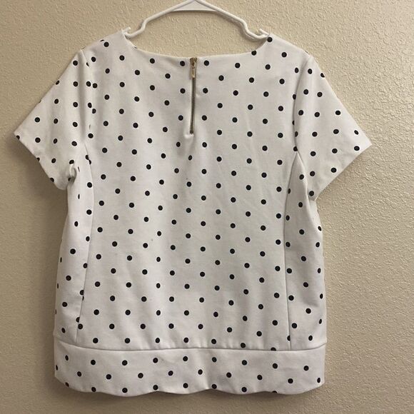 Talbots - white with black polka dots - short sleeve shirt- Size LP - Picture 4 of 5